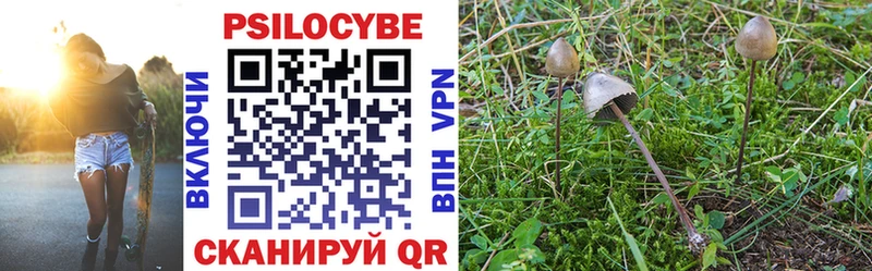 Купить  Голицыно  Галлюциногенные грибы мухоморы 